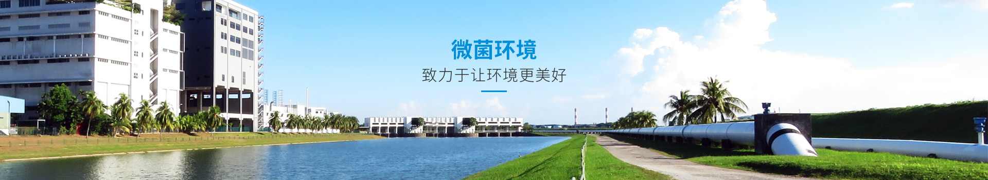 攜手微菌，守護(hù)綠色家園